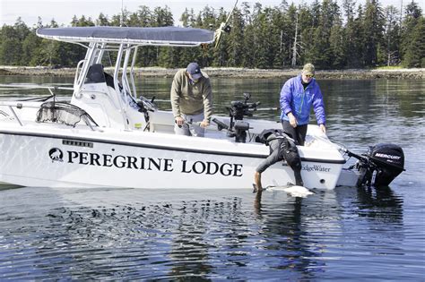 Peregrine lodge fishing report  Yet another fantastic week here in Haida Gwaii! Apart from a little bit of fog the weather was outstanding throughout the whole trip